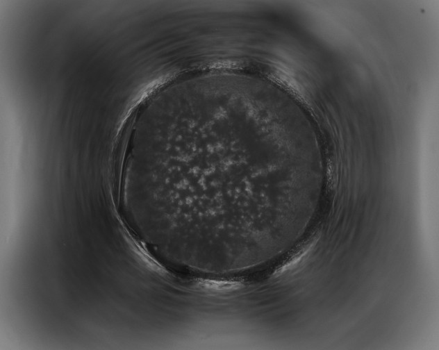 X0000087020725200704161600