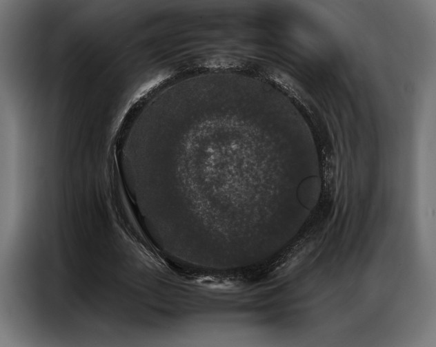 X0000087020727200704161600