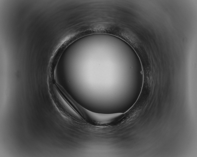 X0000087020728200704161600