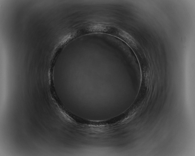 X0000087020729200704161600