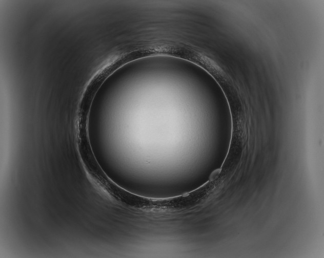 X0000087020730200704161600