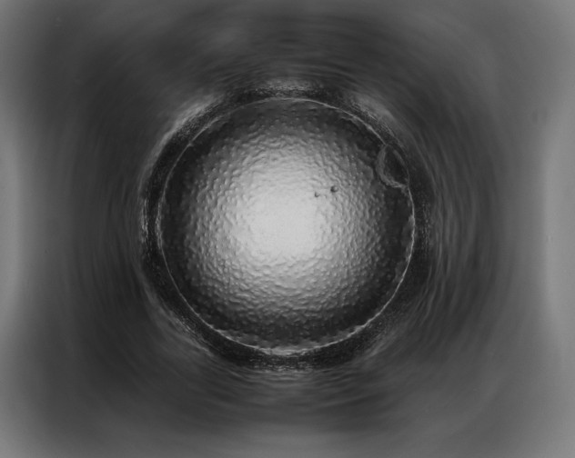 X0000087020731200704161600