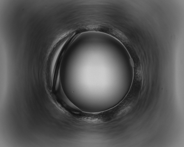 X0000087020732200704161600