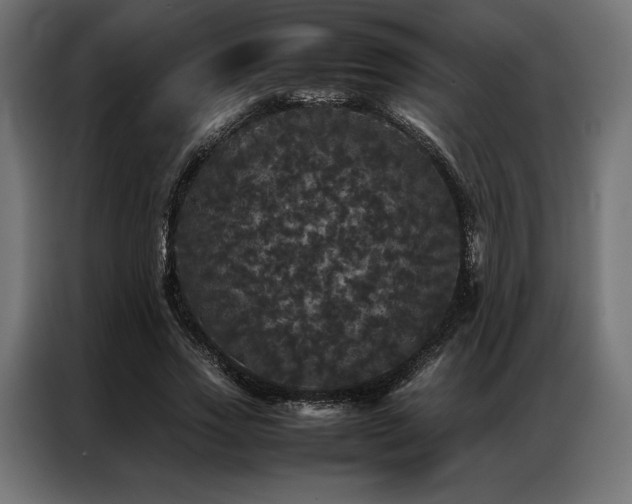 X0000087020733200704161600