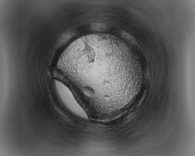 X0000087020734200704161601