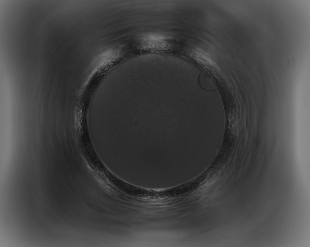 X0000087020735200704161601