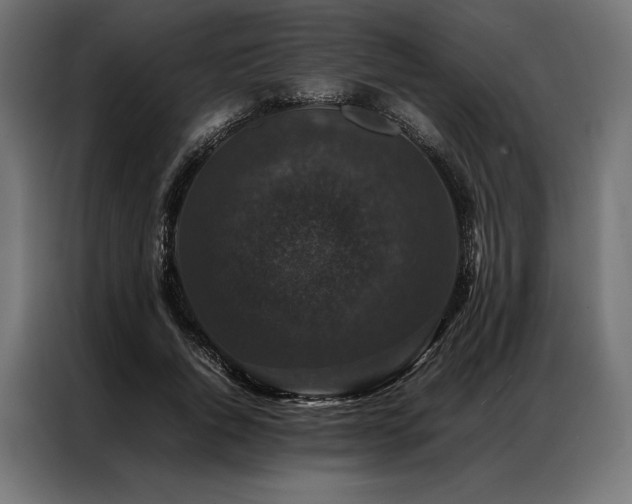 X0000087020736200704161601