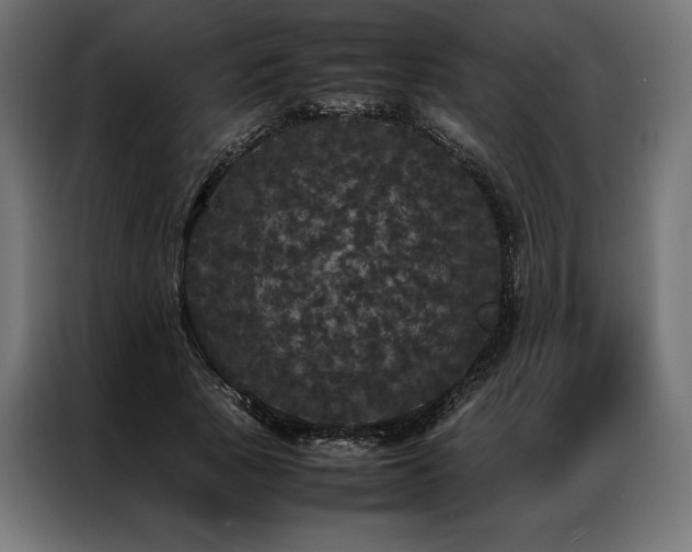 X0000087020737200704161601