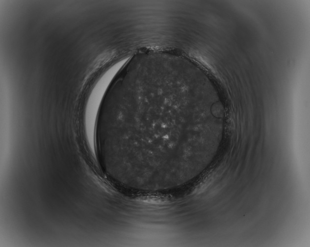 X0000087020738200704161601
