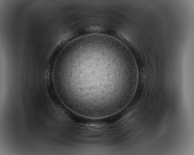 X0000087020739200704161601