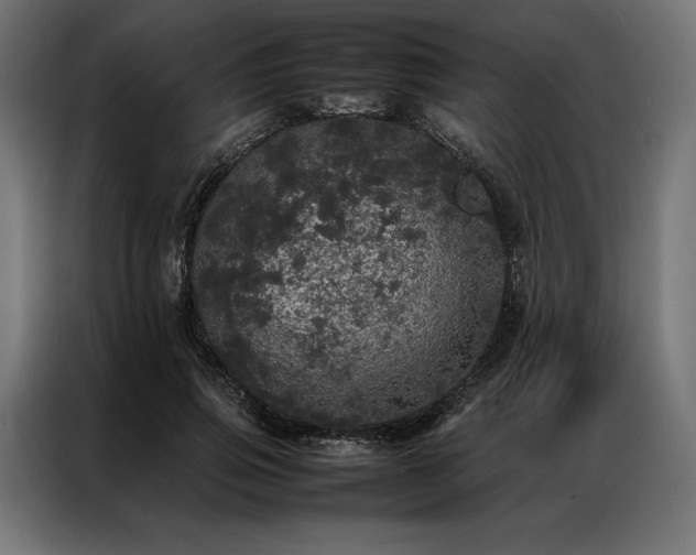 X0000087020741200704161601