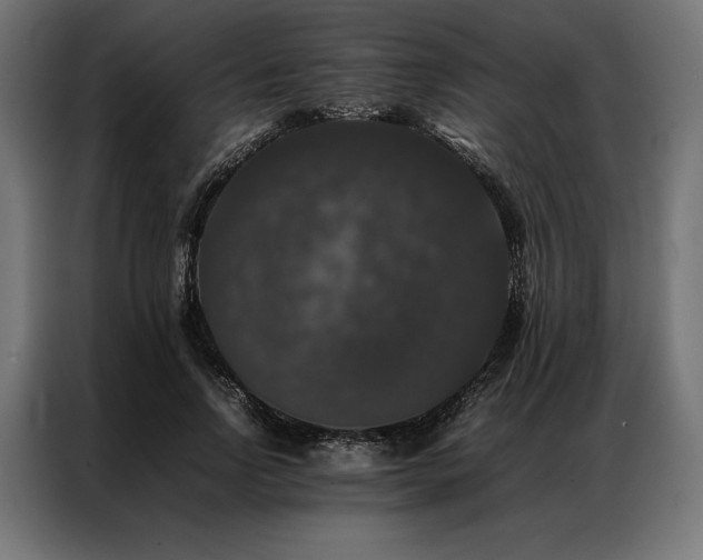 X0000087020742200704161601