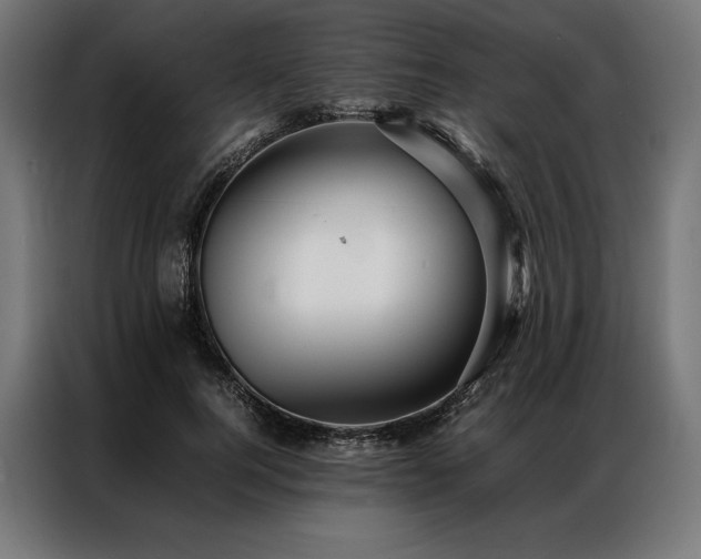 X0000087020744200704161601