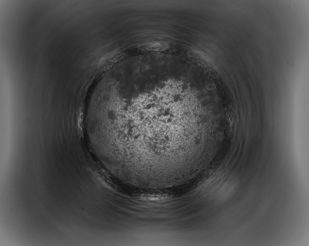 X0000087020745200704161601