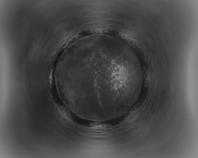 X0000087020746200704161601
