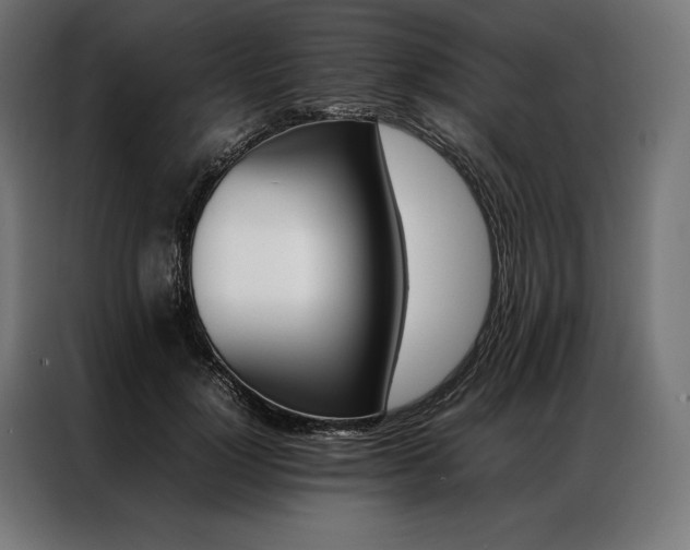 X0000087020748200704161601