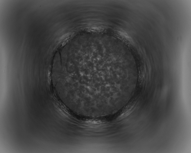 X0000087020749200704161601