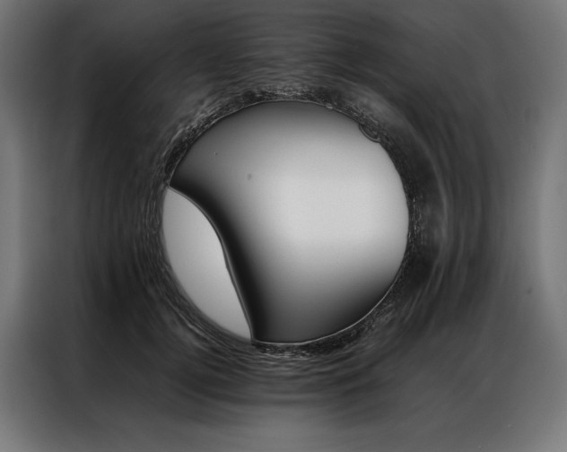 X0000087020752200704161601