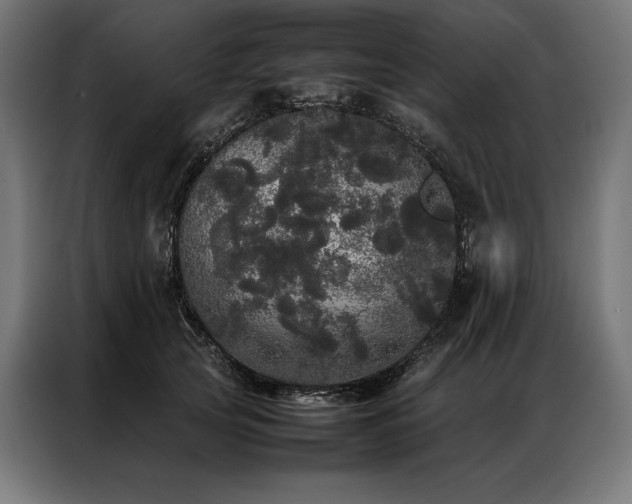 X0000087020753200704161601