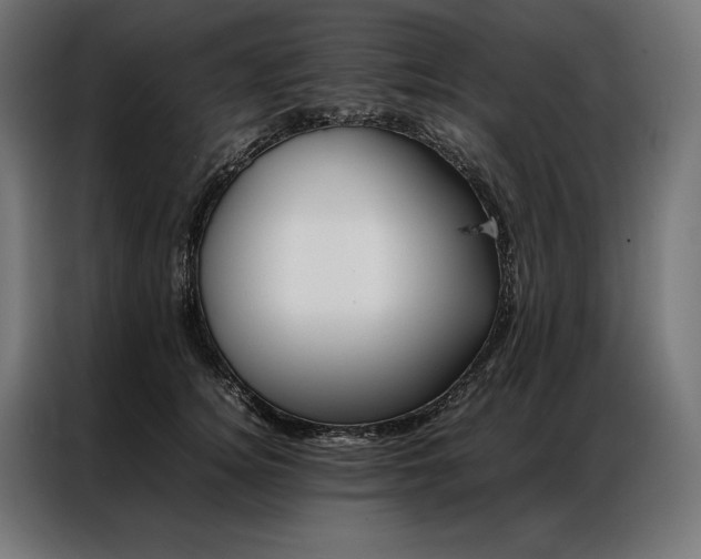 X0000087020756200704161601