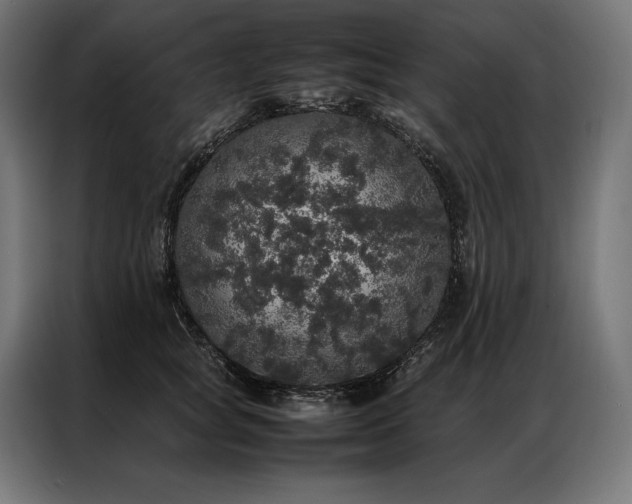 X0000087020757200704161601