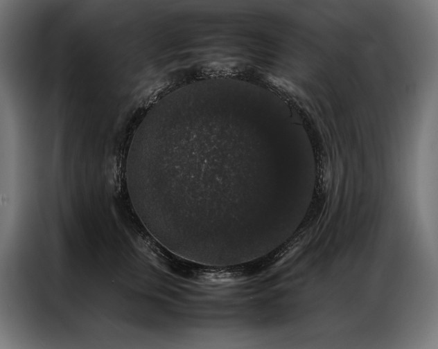 X0000087020759200704161601