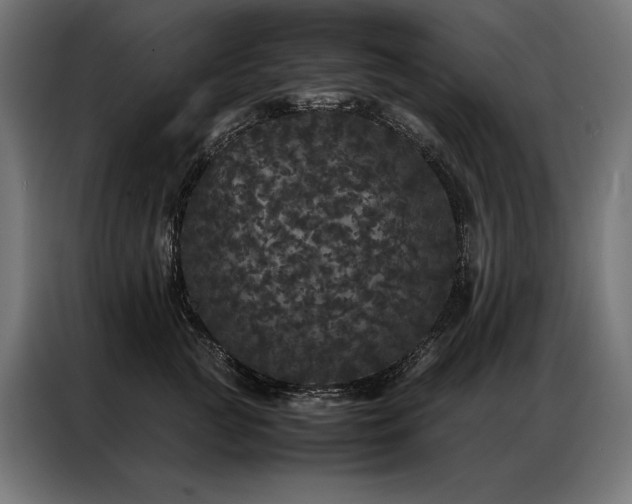 X0000087020761200704161601
