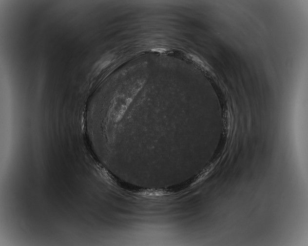 X0000087020762200704161601