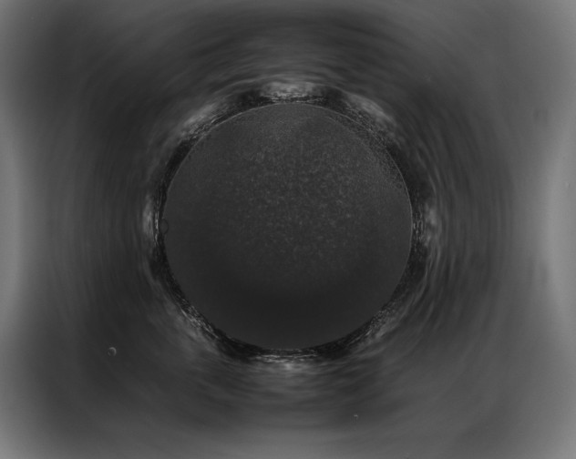 X0000087020763200704161601