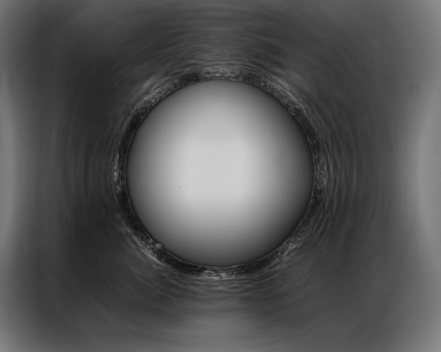 X0000087020764200704161601