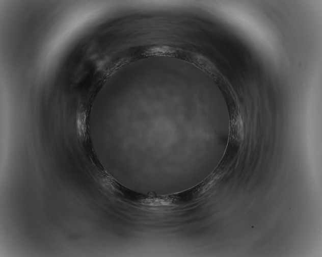 X0000087020765200704161601