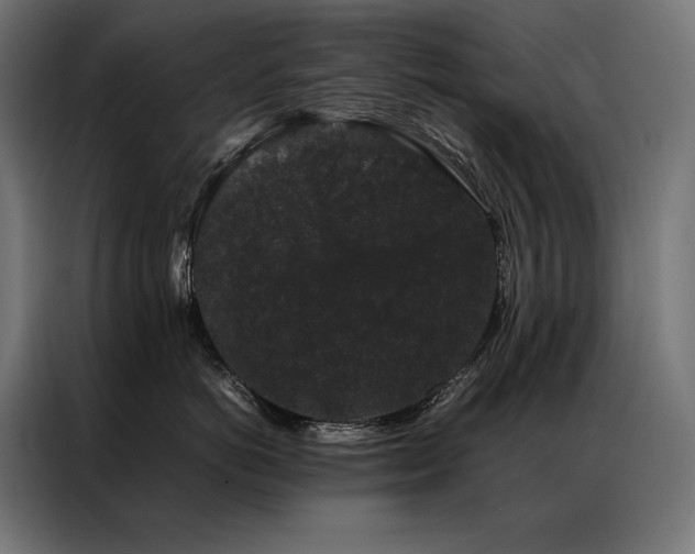 X0000087020766200704161601