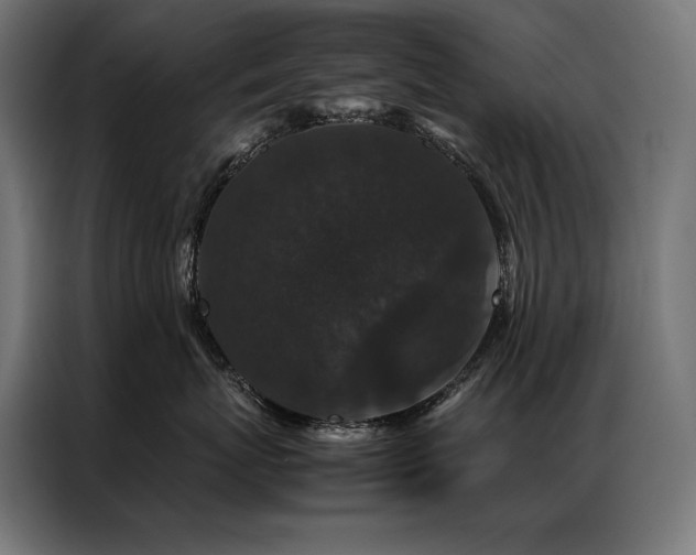 X0000087020767200704161601