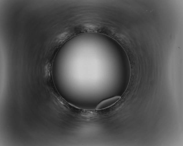 X0000087020768200704161601