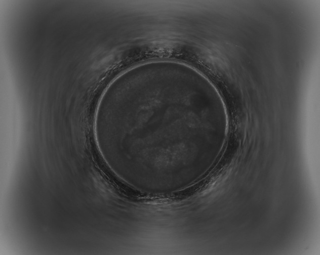 X0000087020769200704161600