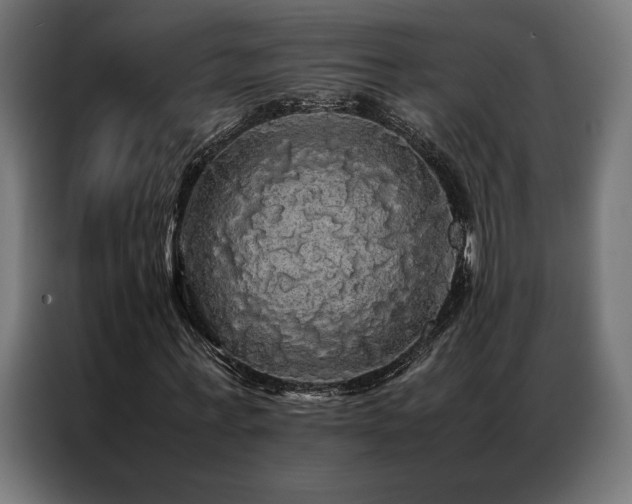 X0000087020771200704161600