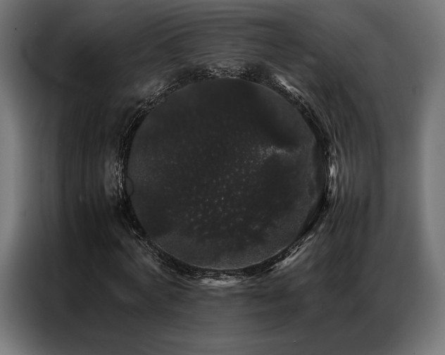 X0000087020772200704161600