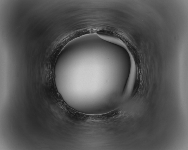 X0000087020773200704161600