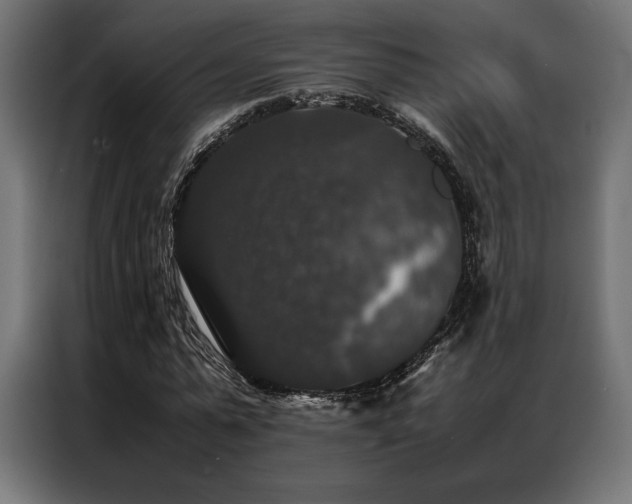 X0000087020775200704161600