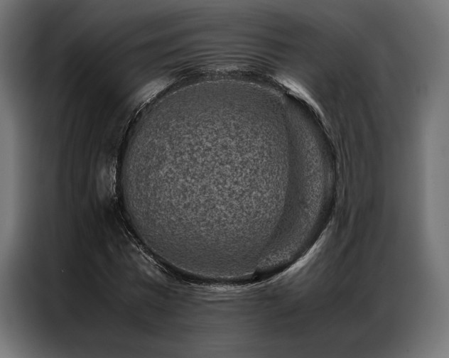 X0000087020777200704161600