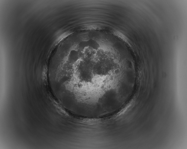 X0000087020778200704161600