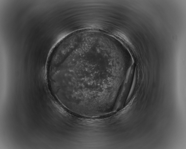 X0000087020780200704161600