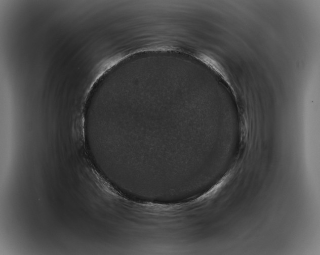 X0000087020781200704161600
