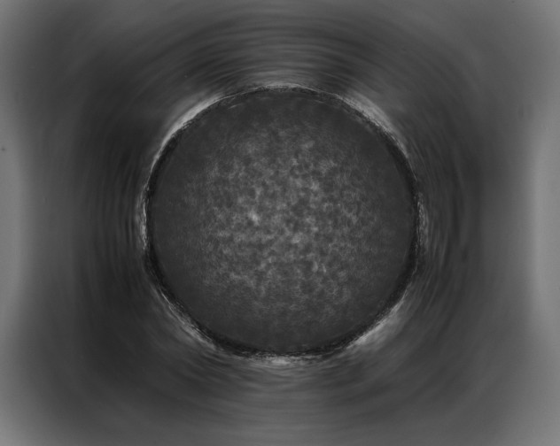 X0000087020782200704161600