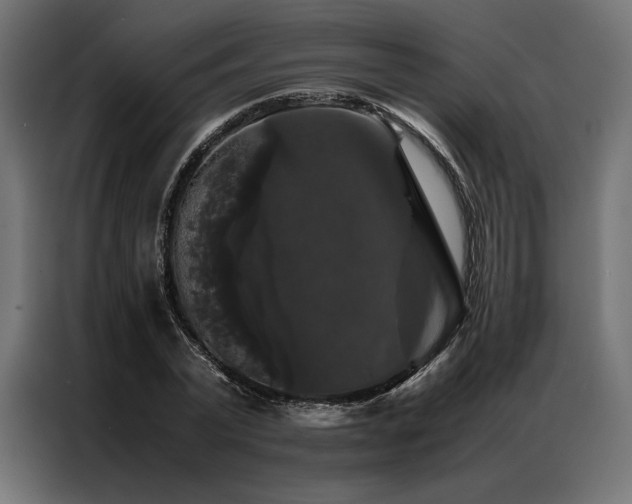X0000087020783200704161600