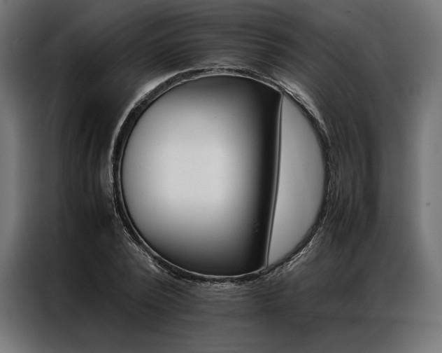 X0000087020784200704161600