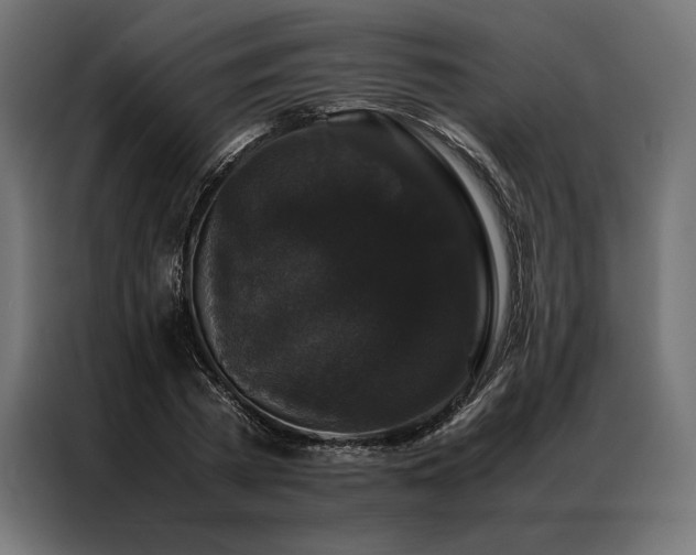 X0000087020785200704161600