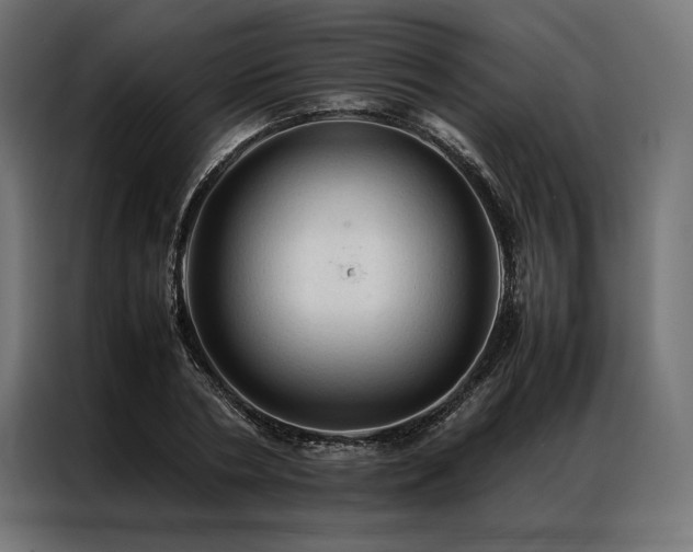 X0000087020786200704161600