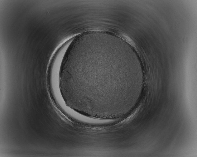 X0000087020787200704161600