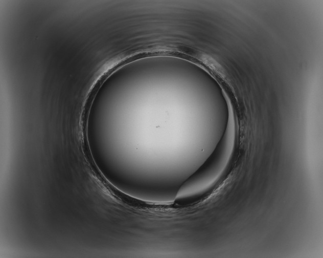X0000087020789200704161600